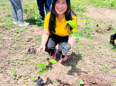 โครงการอาสาสมัครสหกรณ์ กิจกรรมพัฒนาอาสาสมัครสหกรณ์ ... พารามิเตอร์รูปภาพ 36